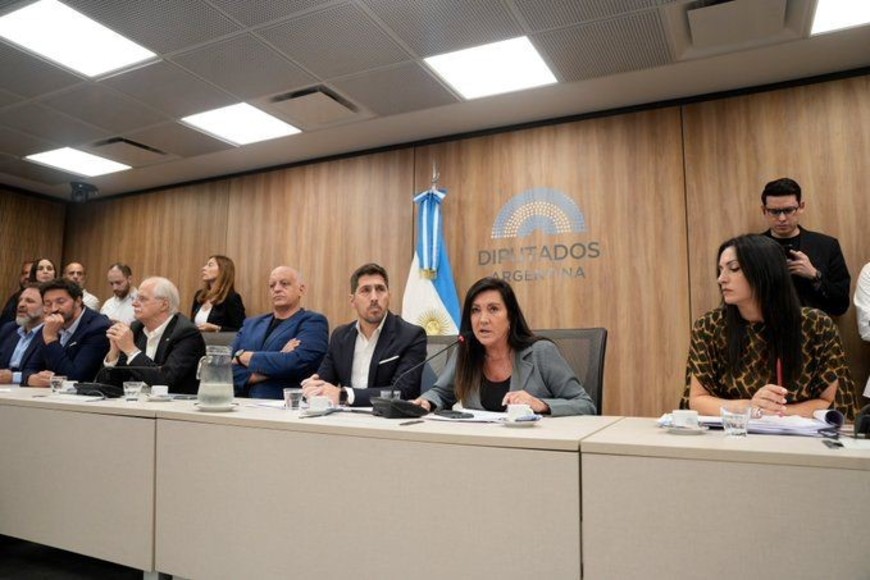 Laura Rodríguez Machado Crédito: HCDN.