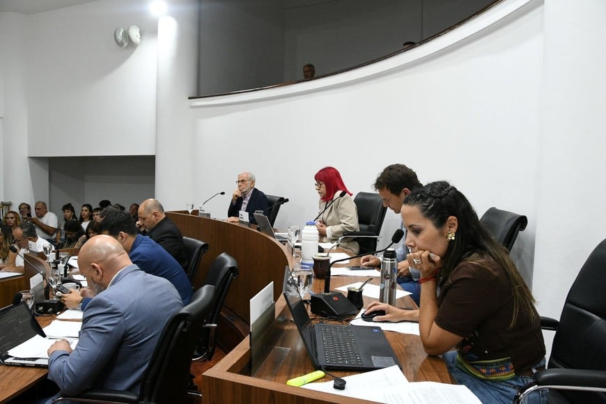 Los cambios a la Ordenanza N° 12.991 fueron sancionados por el Concejo. Crédito: Manuel Fabatía