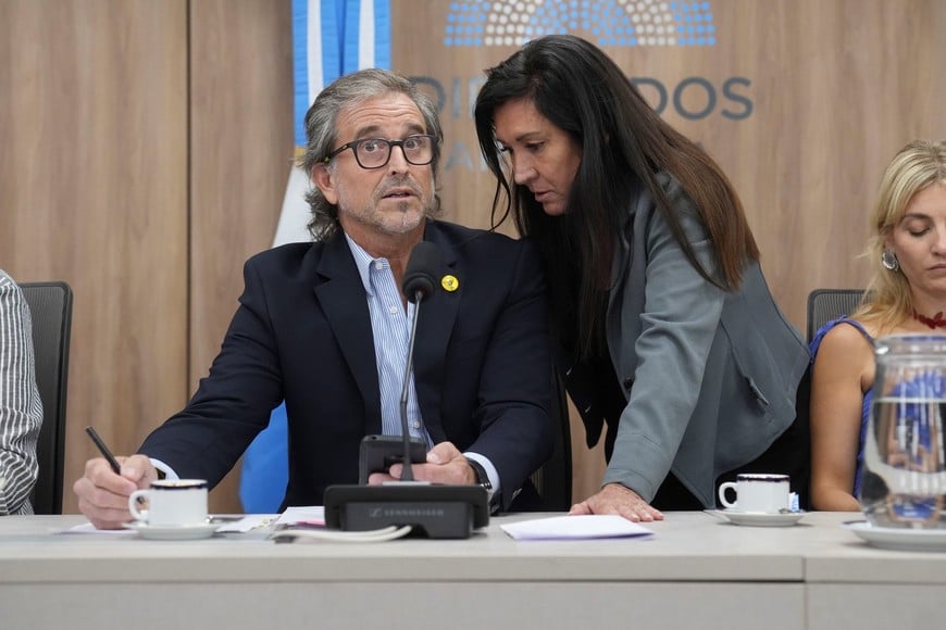 Bertie Benegas Lynch y Laura Rodríguez Machado Crédito: HCDN.