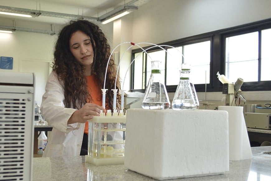 Daniela Perez. becaria del CONICET en el CIM, quien fue la primera autora de la investigación. FOTOS: CONICET Fotografía/Rayelen Baridon.