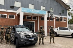 Fueron enviados al Banco Nacional de Materiales Controlados (BANMAC). Foto: Gentileza MPA