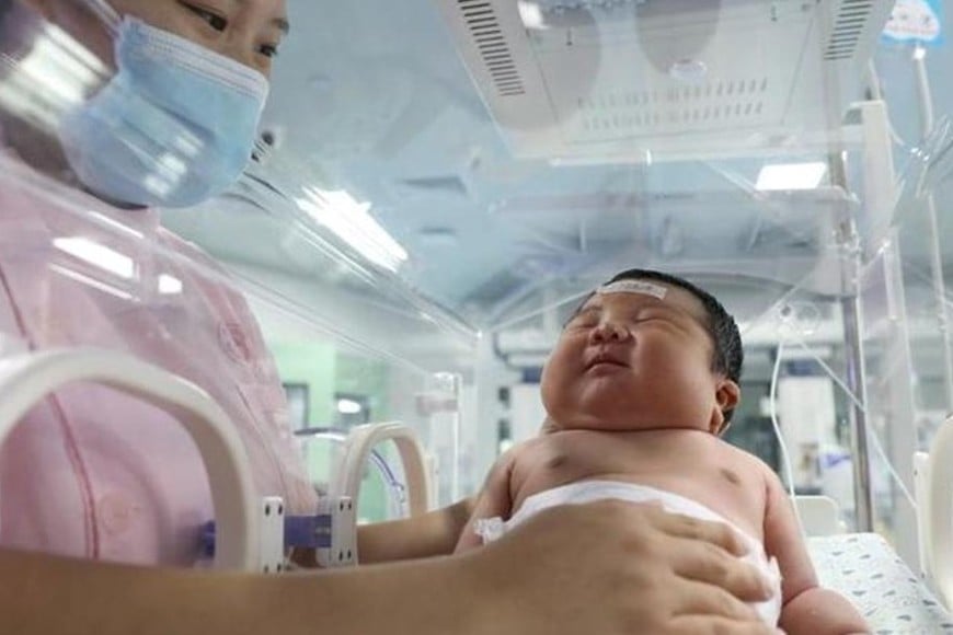 Medidas destinadas a hacer frente al persistente descenso de la tasa de natalidad