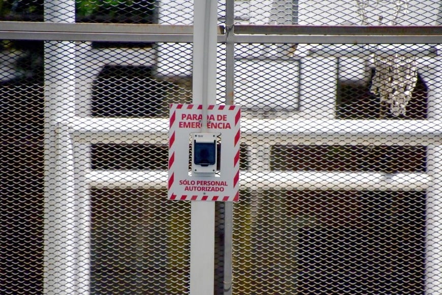 Más prevención en los natatorios: instalaron botones de emergencia en piletas municipales y clubes