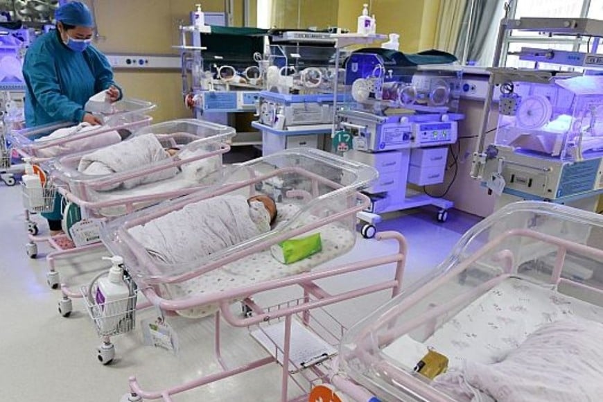 Se trata de una prioridad para aliviar la carga económica de tener hijos