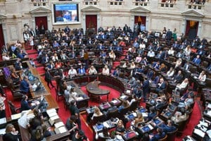 diputados