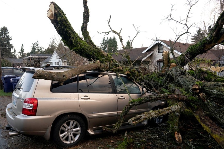 Damage to a vehicle after winds knocked down a tree, as extreme weather continues to batter the Pacific Northwest, in Tacoma, Washington, U.S., December 17, 2025.  REUTERS/David Ryder