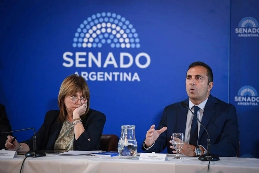 julio cordero patricia bullrich senado