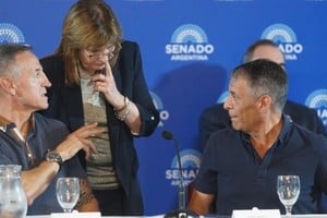 Jorge Sola y Octavio Arguello se presentaron en la comisión de Trabajo del Senado que comanda Patricia Bullrich.