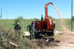 La chipeadora a pleno en la nueva planta. MCSF.