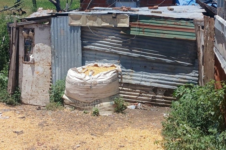 robo tren cerealero en santa rosa de lima