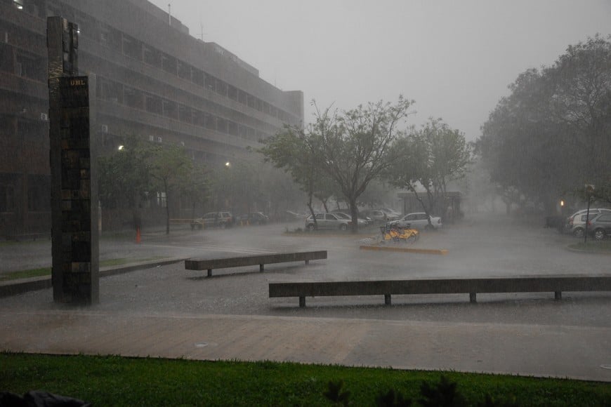 Créditos: Flavio Raina