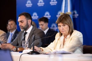 Bullrich anunció la postergación del debate de la reforma laboral en el Senado para el 10 de febrero.