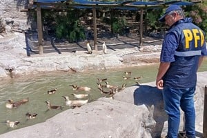 Se investiga a la sociedad responsable del predio y a sus actuales directores.