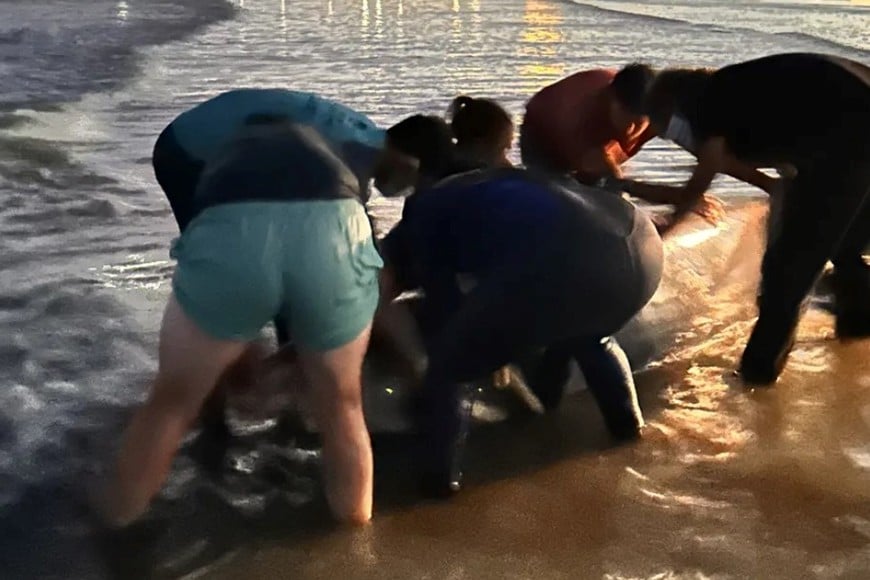 El operativo se organizó en dos grupos