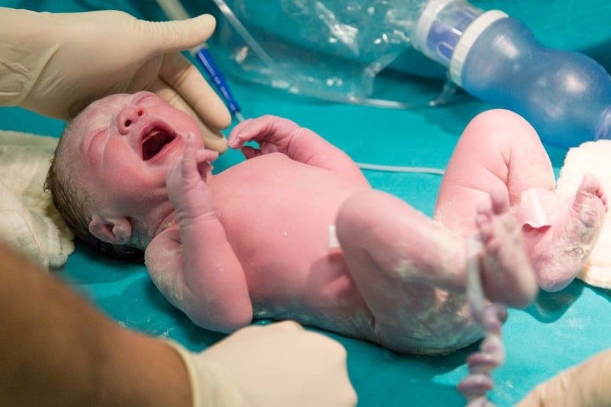 Este marcado contraste revela prácticas asistenciales muy diferentes según el tipo de establecimiento