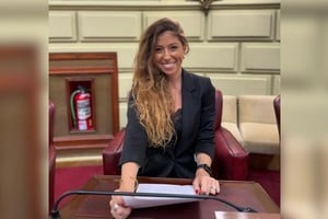 La diputada provincial Sofía Galnares.