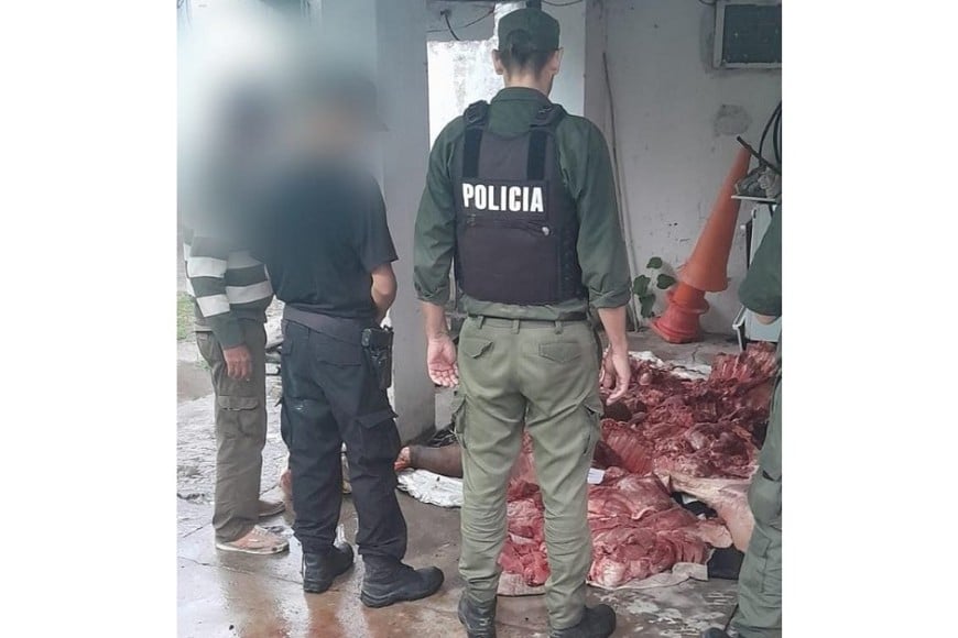 Un grave episodio ocurrido días atrás en Colonia Yatay puso nuevamente en evidencia la problemática.