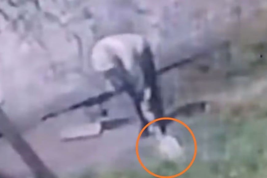 Momento en el que deja al bebé