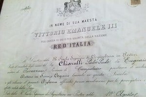 Copia del diploma oficial que certifica el doctorado en Ciencia Agraria de Pedro Pablo Chiarulli en su tierra natal, Italia. Al poco tiempo de recibirse emigró a la Argentina, donde cimentó una destacada trayectoria como investigador y docente.