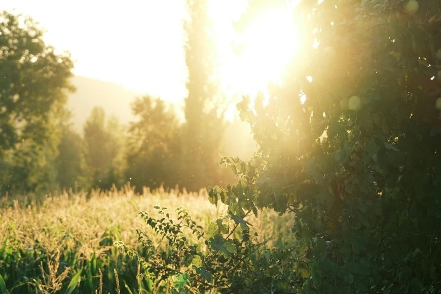 Día con más horas de luz en el hemisferio sur.