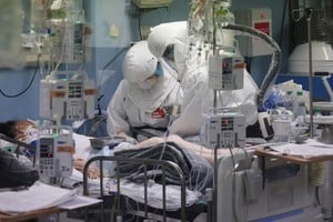 El avance podría allanar el camino a nuevas estrategias de control y terapias dirigidas.