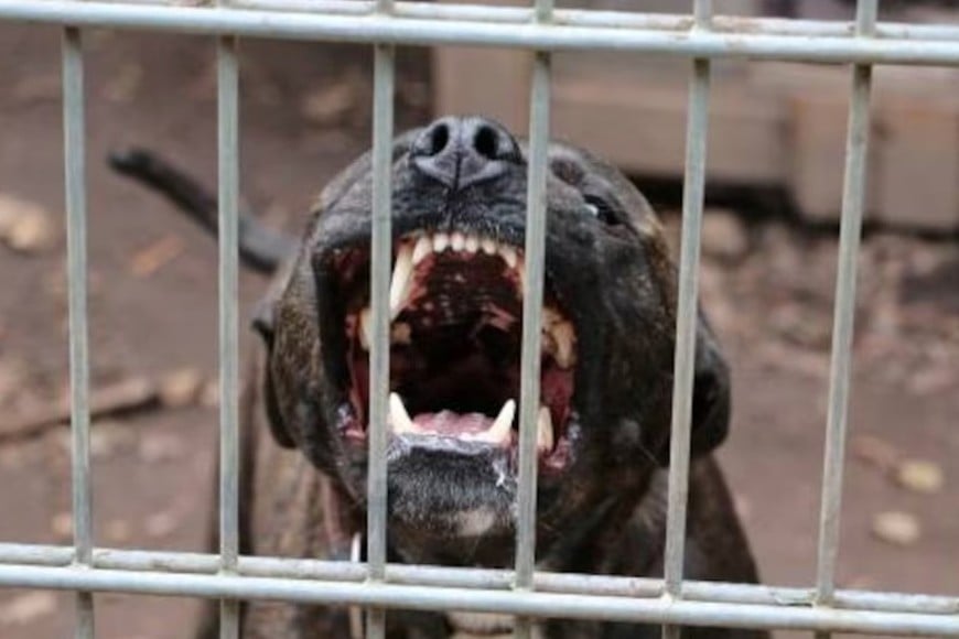 Las autoridades investigan las causas que originaron el ataque.