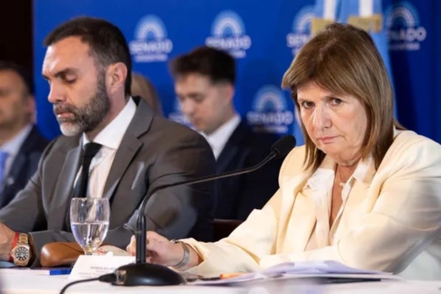 Atauche Bullrich Senado