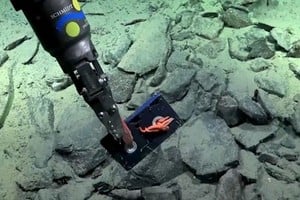 La sorpresa no fue solo encontrar el artefacto, sino también observar que la cinta era parte del hábitat de una estrella de mar.