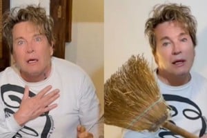 “¡Hay un nido!”: el momento en que Guido descubre ratas en su placard.