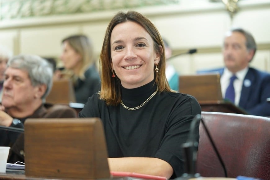 De Ponti, justicialista, sumó argumentos al nuevo texto. Foto: El Litoral.