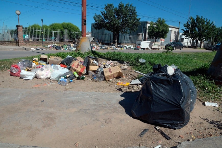 En el cantero central, también. Foto: Guillermo Di Salvatore