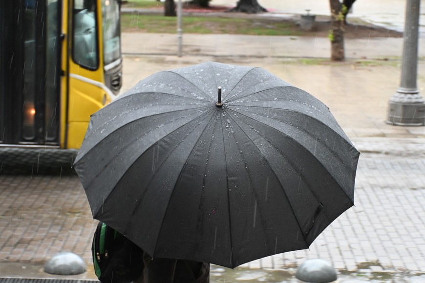 Imagen ilustrativa. Crédito: Flavio Raina