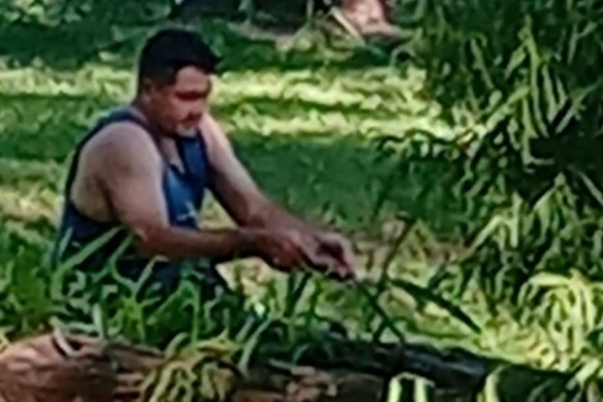 En ese sitio la visibilidad es nula, lo que dificulta la búsqueda. Foto: El Litoral