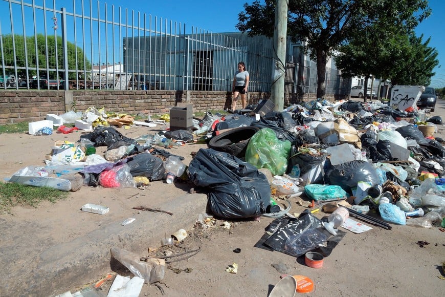 Bolsas, cartones y botellas, apenas un recuento de los residuos. Foto: Guillermo Di Salvatore