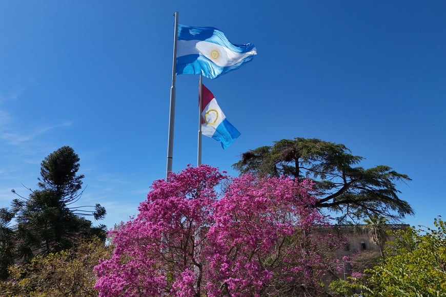 Imagen ilustrativa. Crédito: Fernando Nicola