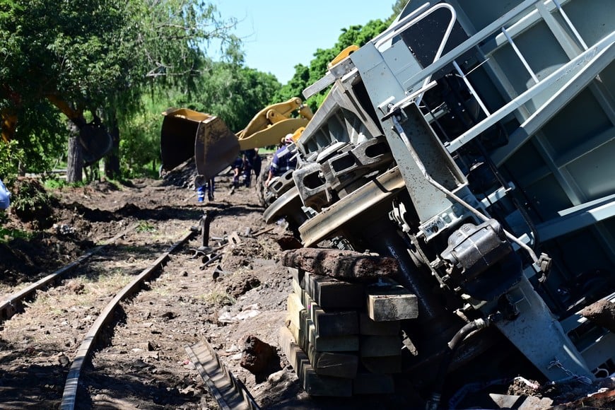 Los cinco vagones caídos. Flavio Raina.