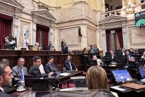 Con 46 votos a favor, 25 votos en contra y una abstención, el Senado aprobó el Presupuesto 2026.
