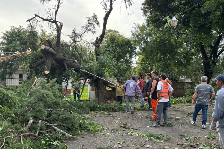 El fenómeno climático produjo voladuras de techos, caída de árboles, postes y muros; por lo cual algunas zonas se encuentran sin luz.
