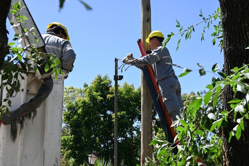 El fenómeno climático produjo voladuras de techos, caída de árboles, postes y muros; por lo cual algunas zonas se encuentran sin luz.