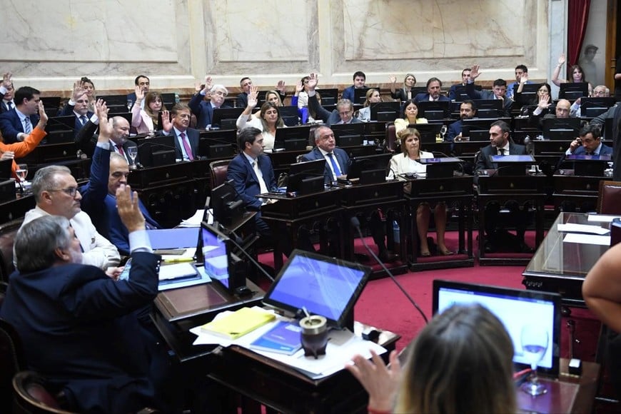 Los senadores aprobaron el Presupuesto.