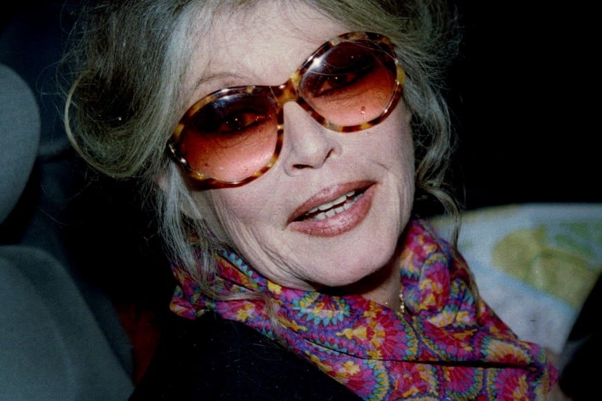 FILE PHOTO: Brigitte Bardot, former French actress and current animal rights militant, seen as she leaves the French Agriculture Ministry, February 15th/File Photo