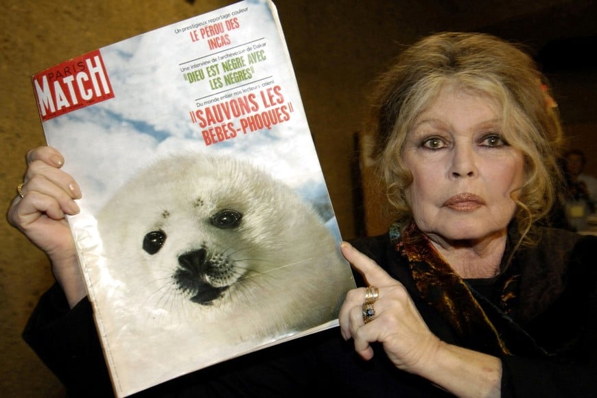 FILE PHOTO: Former French actress Brigitte Bardot displays a 1969 copy of french magazine "Paris Match" showing a seal on the cover in Geneva December 5, 2005. Bardot launched an appeal [to Canadian Prime Minister Paul Martin] to stop the slaughter of seals./File Photo