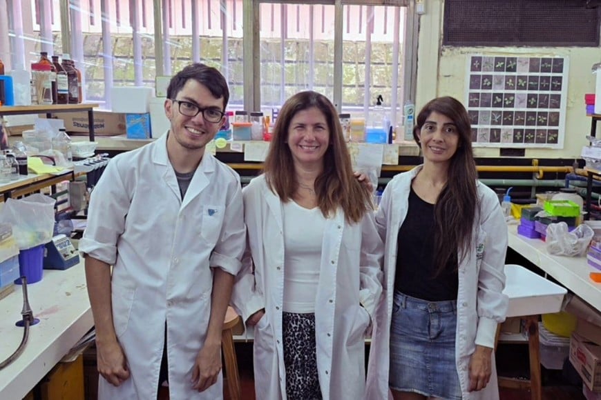 Laboratorio del CEFOBI. De derecha a izquierda: Valentin Permingeat, Alejandra Mussi, Barbara Pérez Mora. Foto: gentileza investigadores.