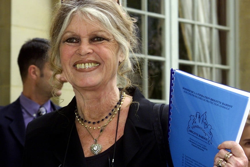 FILE PHOTO: French film star turned animal activist Brigitte Bardot arrives at the
French Prime minister Lionel Jospin's residence the Hotel Matignon July
16, 2001. Bardot gave Jospin a report by her Animals Rights foundation
which asked for changes to the law on so-called dangerous animals, and
also called for a law forbidding the import and export of dog and cat
furs.

CGW/CRB/File Photo