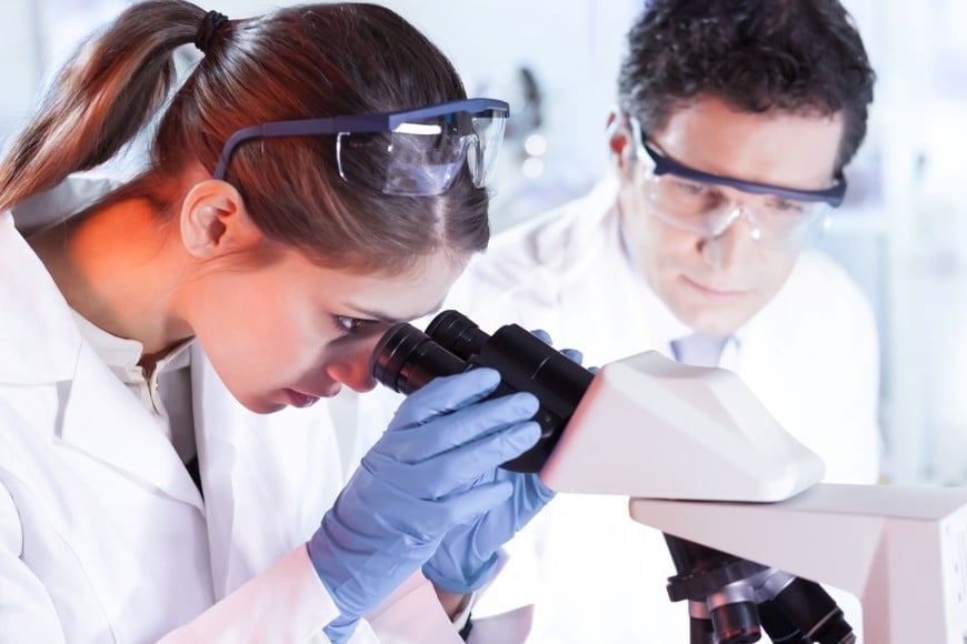 Los investigadores identificaron dos poblaciones celulares con comportamientos distintos tras un daño