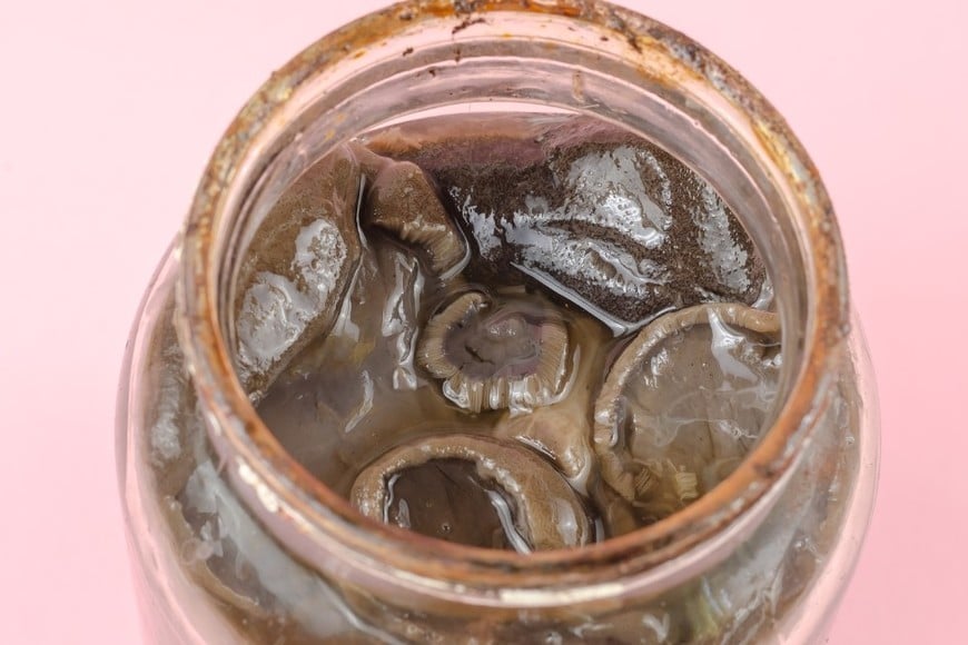 No importa tanto el lugar donde se compra el alimento, sino dónde y cómo fue elaborado.