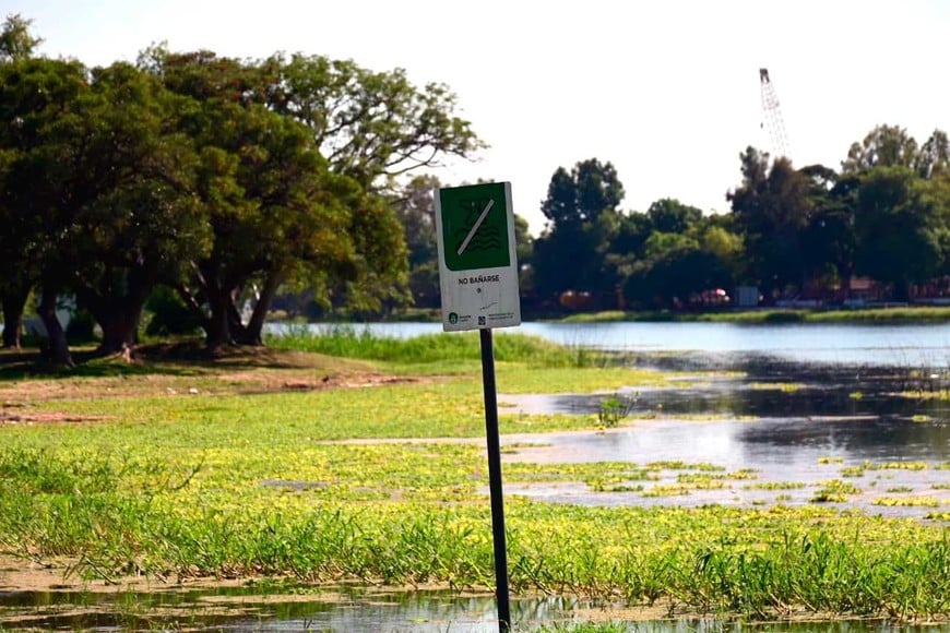 No se puede bañar en el lago. Foto: Flavio Raina