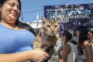 Con un presupuesto oficial de $463.200.180,00, para la segunda etapa de la obra se presentaron cuatro ofertas