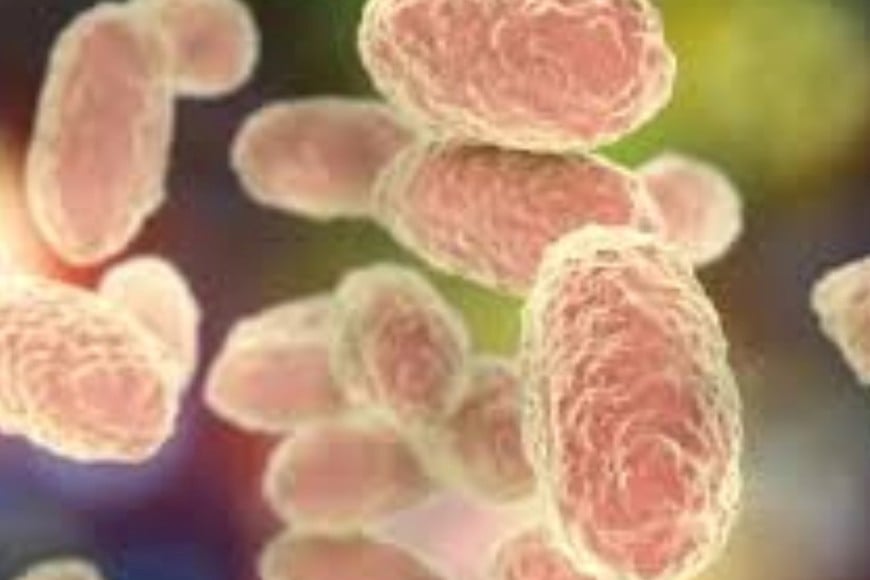 El departamento Rosario concentró casi el 80% de los casos confirmados