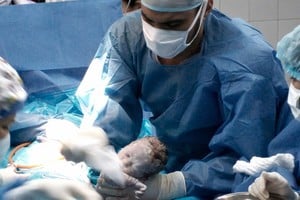 Cabe aclarar que esta foto es sólo publicada a los fines ilustrativos. Crédito: Gentileza